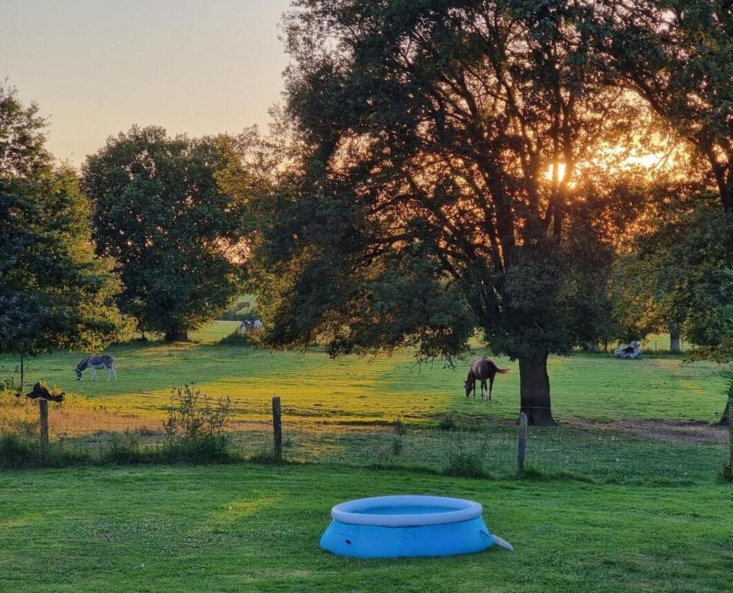 Holiday home Sous Le Chene Denee